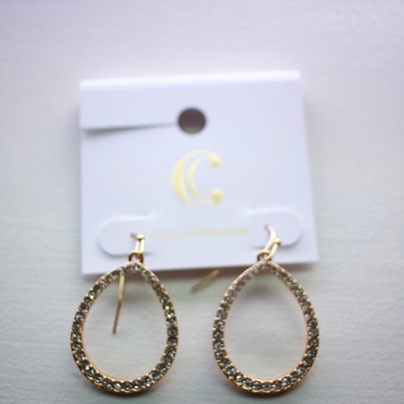 🆕 Charming Charlie earrings - Picture 2 of 2